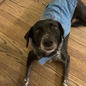 Meet your Posher, Amy